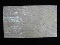 takase-yoko-2.JPG